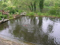 DSCN8442