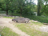 DSCN8443