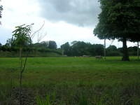 DSCN8444