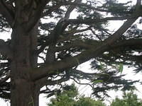 DSCN8451