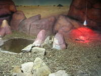 DSCN8455