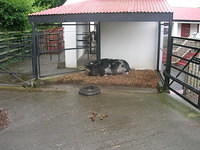DSCN8459