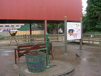 DSCN8463
