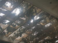DSCN8468