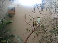 DSCN8483