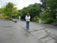 DSCN8484