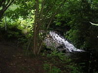 DSCN8506