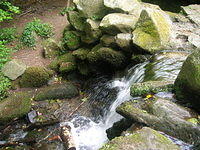 DSCN8518