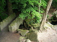 DSCN8519
