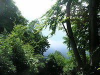 DSCN8524