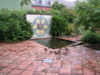 DSCN8548