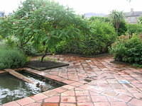 DSCN8551