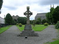 DSCN8745