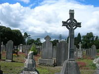 DSCN8747