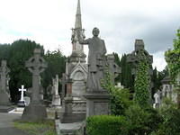 DSCN8760