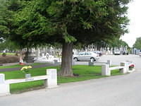 DSCN8764