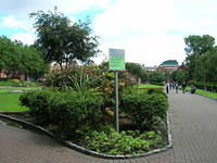 DSCN8794