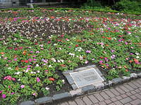 DSCN8797