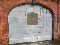 DSCN8804