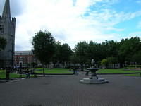 DSCN8805
