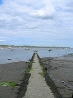 DSCN8941