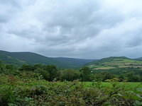 DSCN8965