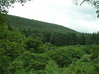 DSCN8976