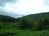 DSCN8978