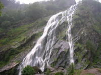 DSCN8982