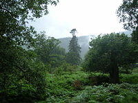 DSCN8985