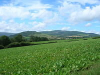 DSCN8988