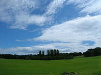 DSCN9019