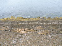 DSCN9035