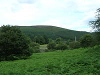 DSCN9053