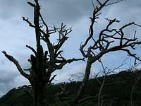 DSCN9055