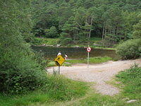 DSCN9073