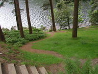 DSCN9080