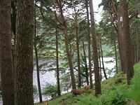 DSCN9081