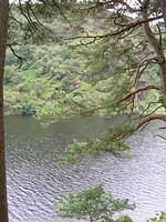 DSCN9082