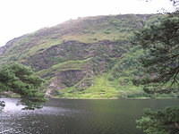 DSCN9084