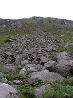 DSCN9098