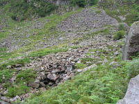 DSCN9110