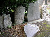 DSCN9189