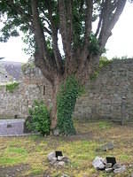 DSCN9190