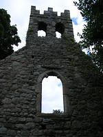 DSCN9191