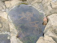 DSCN9232