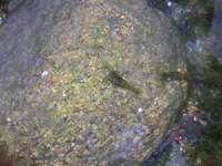 DSCN9241