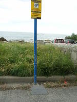 DSCN9249