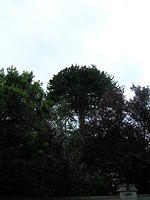 DSCN9259
