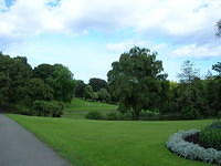 DSCN9269